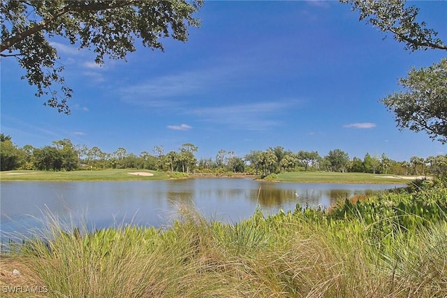 4690 Turnberry Lake Dr Unit 104, Estero, FL 33928 - water view