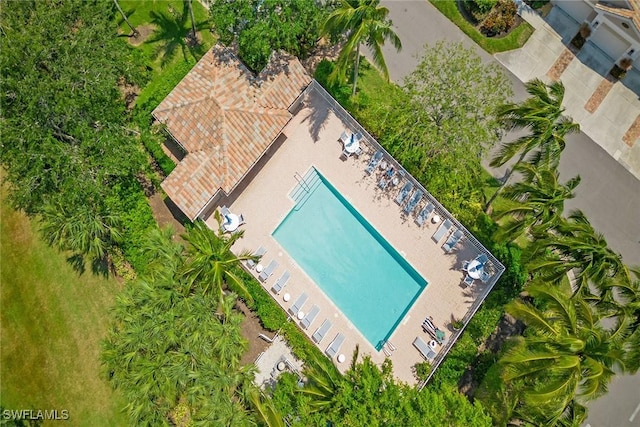 drone / aerial view
