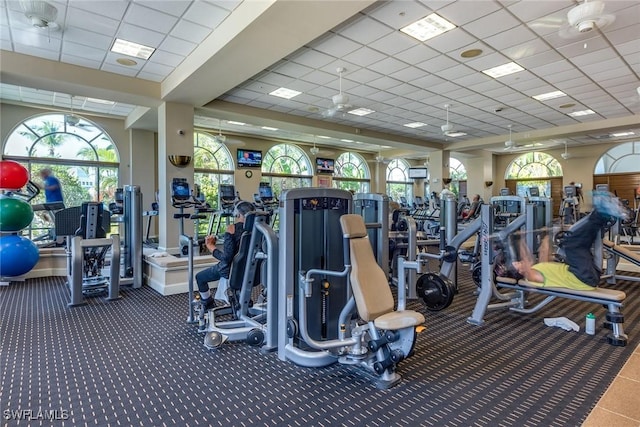 workout area featuring carpet floors and a paneled ceiling