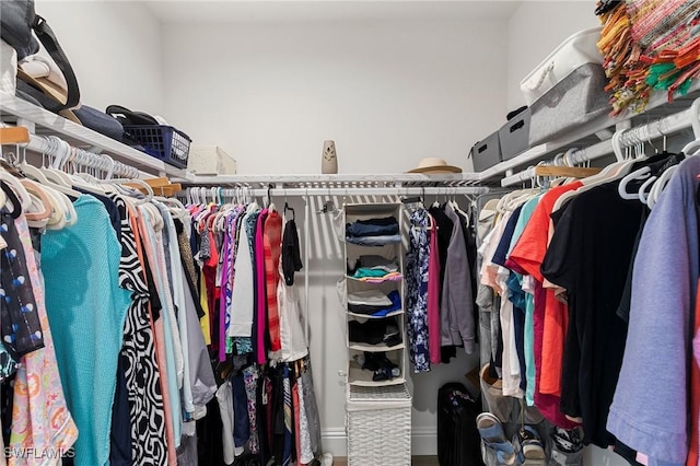 view of walk in closet