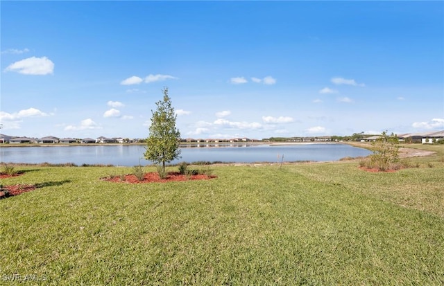 16740 Rolling Rock Blvd, Alva, FL 33920 - water view