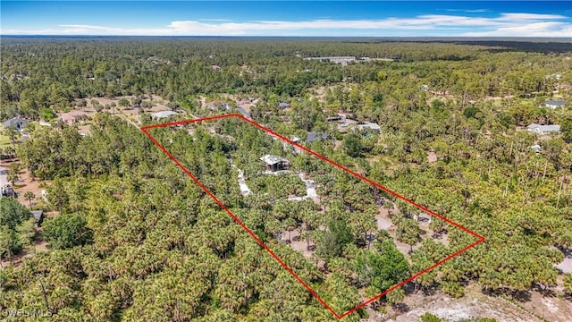 2712 14th Ave SE, Naples, FL 34117 - aerial overview of property's location with a heavily wooded area and property parcel outlined