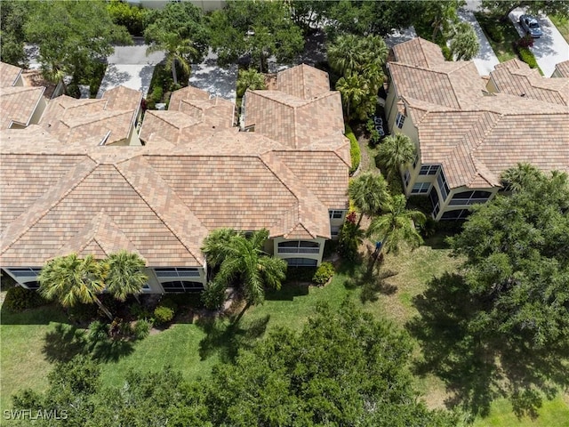 bird's eye view