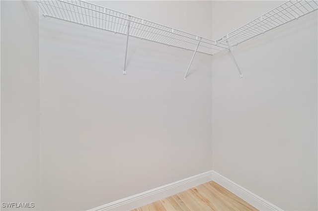 walk in closet featuring light wood-style floors