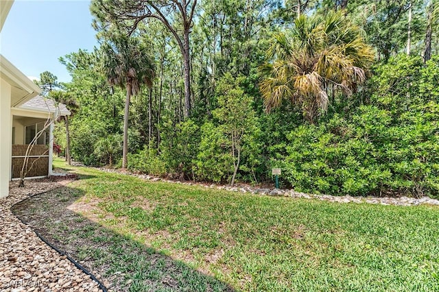 23061 Grassy Pine Dr, Estero, FL 33928 - view of yard