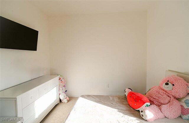 3194 Woodside Ave, Naples, FL 34112 - photo 18