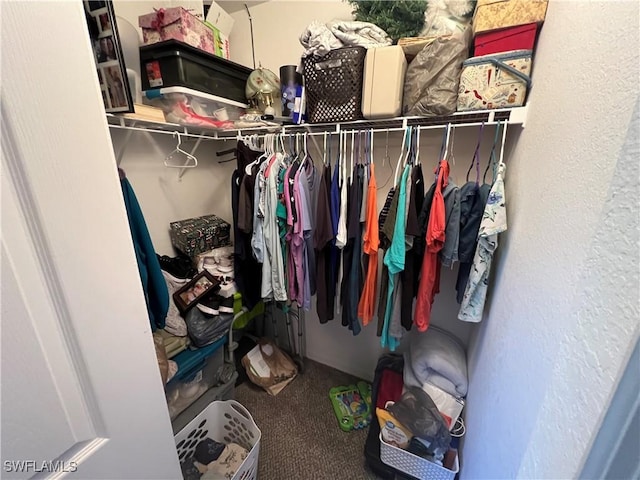 spacious closet with carpet