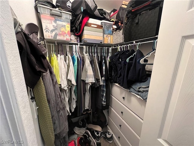 view of walk in closet