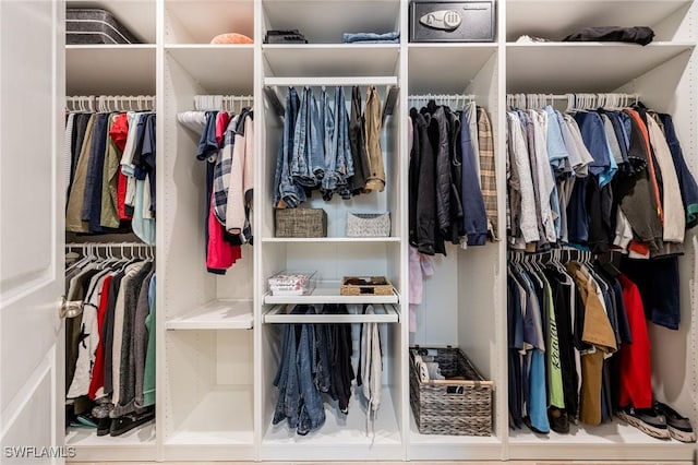 view of closet
