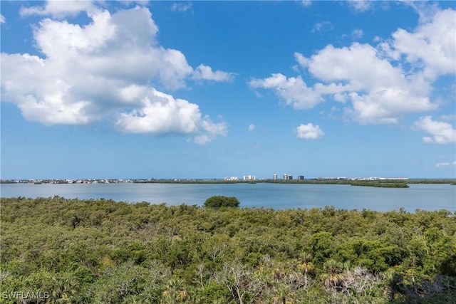 4931 Bonita Bay Blvd Unit 601, Bonita Springs, FL 34134 - view of water feature