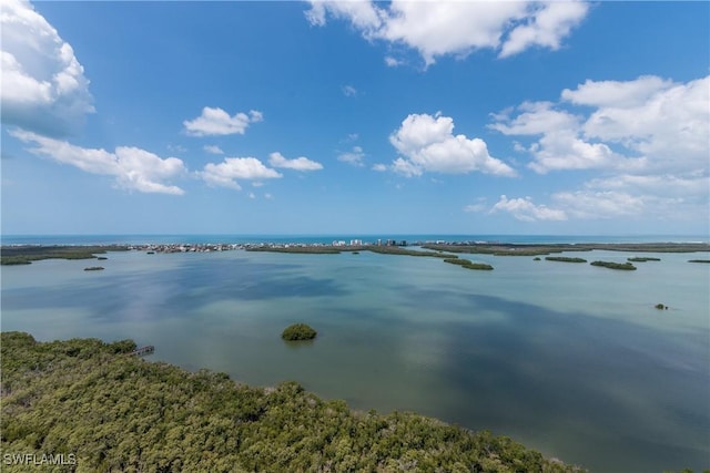 4931 Bonita Bay Blvd Unit 601, Bonita Springs, FL 34134 - view of water feature