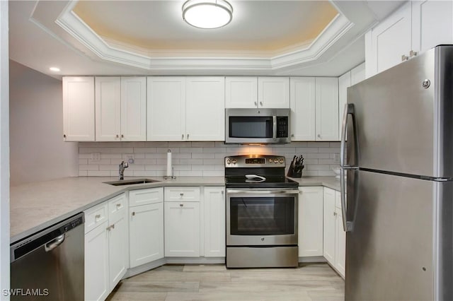 kitchen featuring a tray ceiling, stainless steel appliances, a sink, and white cabinetry