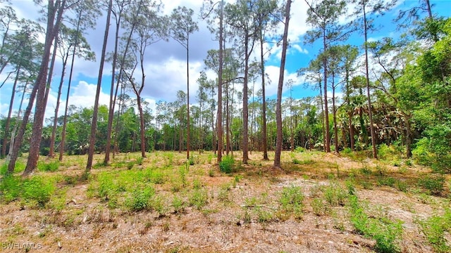 3690 27th Ave SW, Naples, FL 34117 - view of landscape