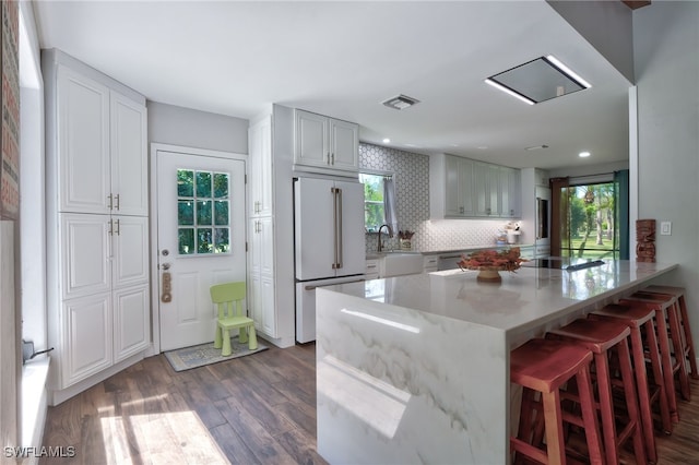 3690 27th Ave SW, Naples, FL 34117 - kitchen with decorative backsplash, dark wood-style flooring, visible vents, light stone countertops, and high end white fridge