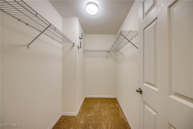 walk in closet with carpet