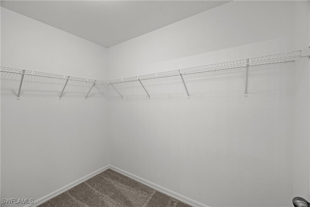 spacious closet featuring dark carpet