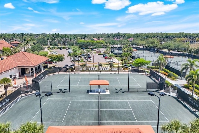 bird's eye view