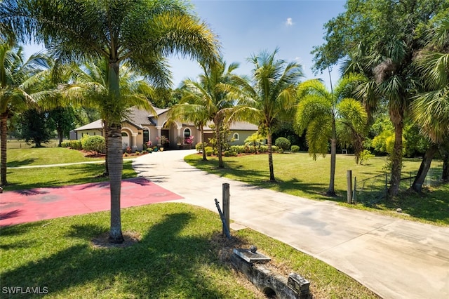 surrounding community featuring curved driveway and a lawn
