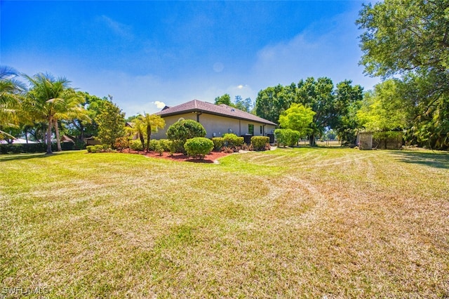 view of yard