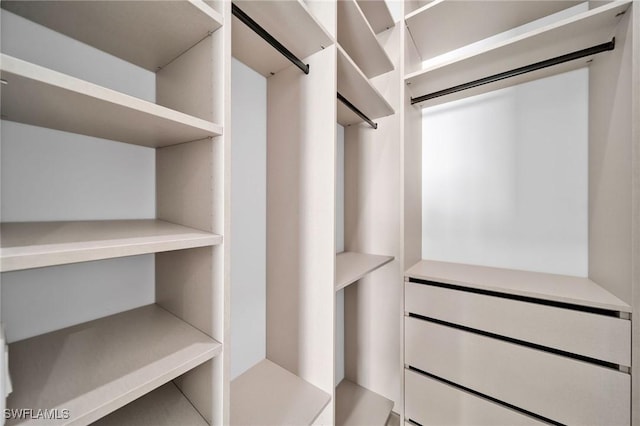 view of spacious closet