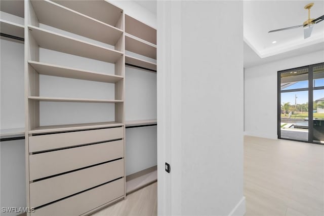 spacious closet with light wood finished floors