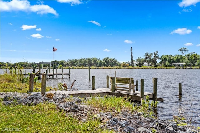 dock area featuring a water view