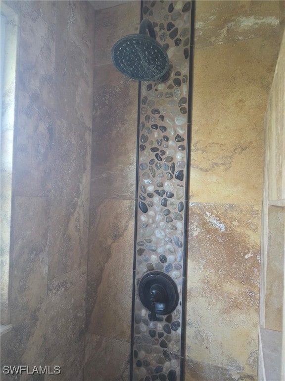 2123 NE 6th Pl, Cape Coral, FL 33909 - interior details featuring tiled shower