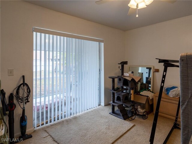 1228 SE 24th Ave Unit A, Cape Coral, FL 33990 - workout room with carpet floors, ceiling fan, and baseboards
