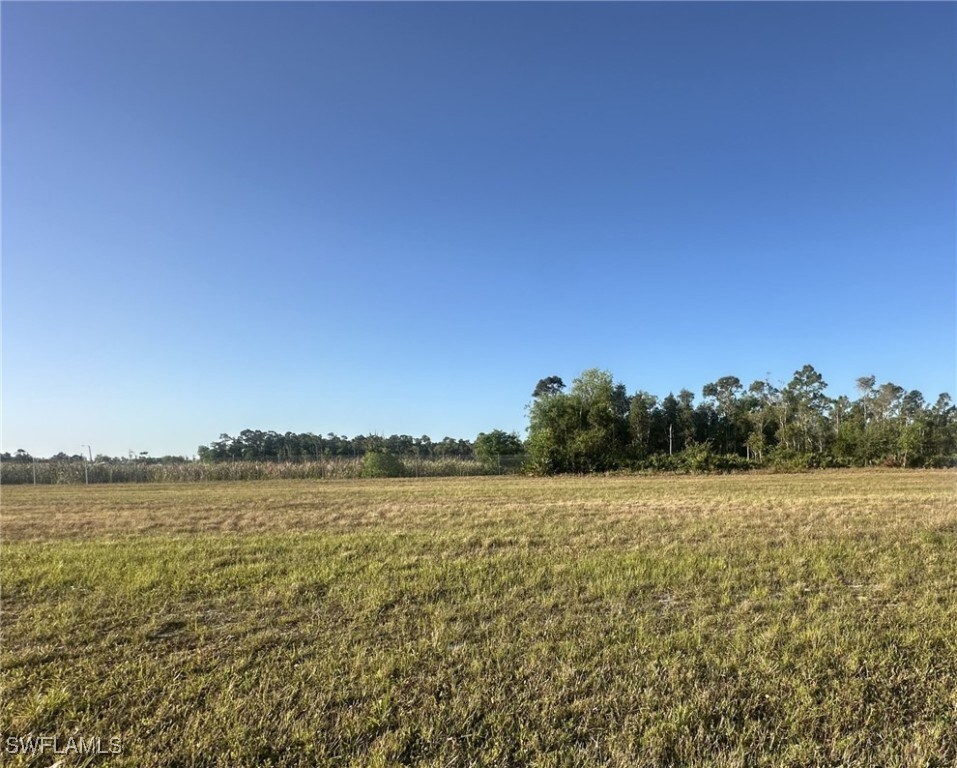 2718 Ceitus Pkwy, Cape Coral, FL 33991 - photo 3