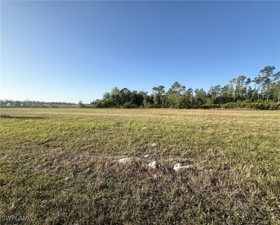 2718 Ceitus Pkwy, Cape Coral, FL 33991 - photo 4