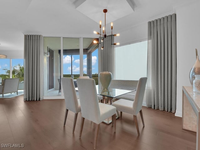 dining room featuring a chandelier, wood finished floors, and radiator heating unit