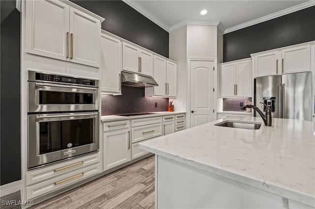 4424 Owens Way, Ave Maria, FL 34142 - kitchen with stainless steel appliances, a sink, under cabinet range hood, crown molding, and white cabinetry