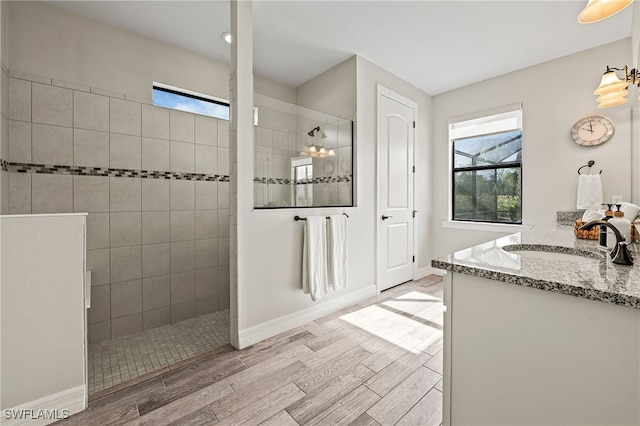 4424 Owens Way, Ave Maria, FL 34142 - bathroom featuring vanity, walk in shower, wood finished floors, and baseboards