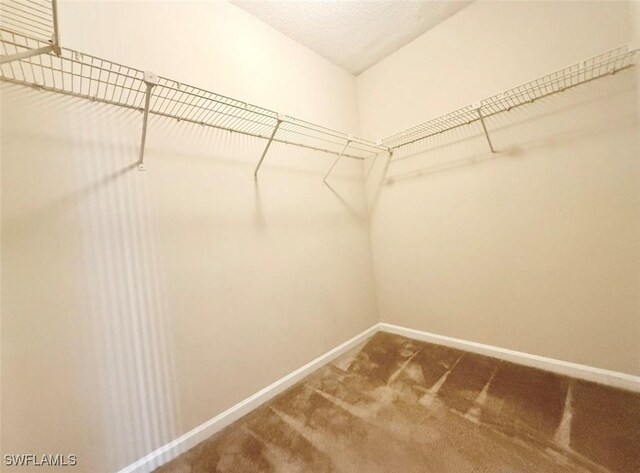 13515 Eagle Ridge Dr Unit 522, Fort Myers, FL 33912 - walk in closet with carpet floors