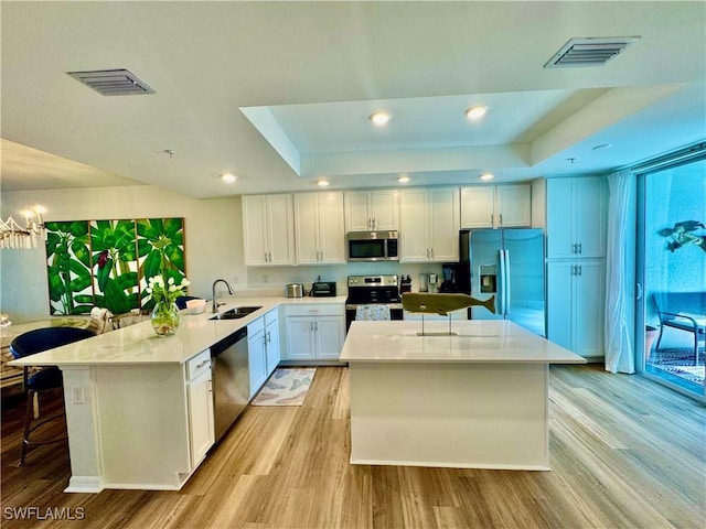 5445 Double Eagle Cir Unit 3012, Ave Maria, FL 34142 - kitchen with stainless steel appliances, a sink, a tray ceiling, light wood finished floors, and recessed lighting
