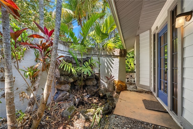 1904 Timberline Dr, Naples, FL 34109 - view of yard