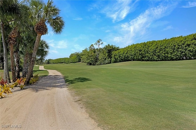 view of community with a yard and view of golf course