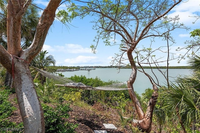 1247 Blue Hill Creek Dr, Marco Island, FL 34145 - water view