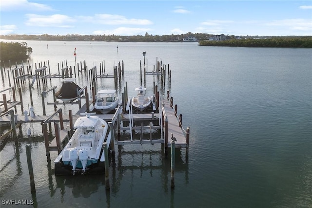 1247 Blue Hill Creek Dr, Marco Island, FL 34145 - dock area with boat lift and a water view