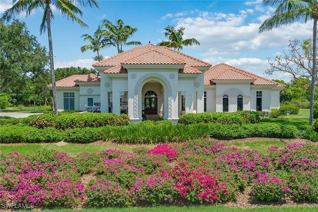 1247 Blue Hill Creek Dr, Marco Island, FL 34145 - view of front of home featuring a tiled roof and stucco siding