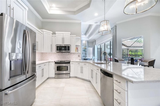 kitchen featuring a sink, ornamental molding, stainless steel appliances, and a tray ceiling