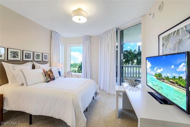 1050 Borghese Ln Unit 206, Naples, FL 34114 - bedroom featuring light colored carpet