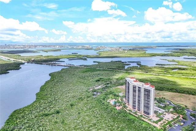 1050 Borghese Ln Unit 206, Naples, FL 34114 - drone / aerial view of a large body of water and apartment complex / building