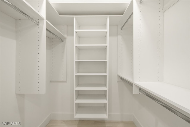 walk in closet featuring light wood finished floors