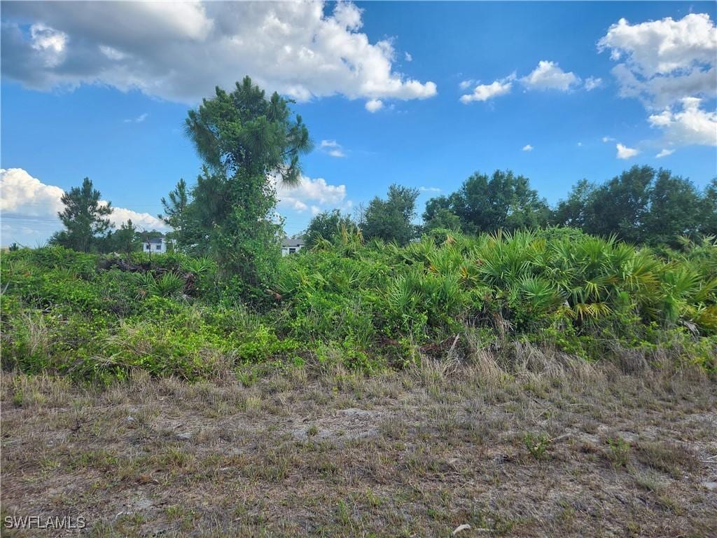 1252 Ecclesia St E, Lehigh Acres, FL 33974