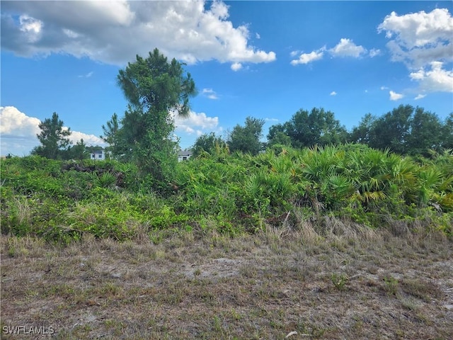 1252 Ecclesia St E, Lehigh Acres, FL 33974
