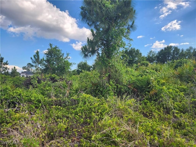 1252 Ecclesia St E, Lehigh Acres, FL 33974