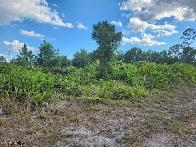 1252 Ecclesia St E, Lehigh Acres, FL 33974