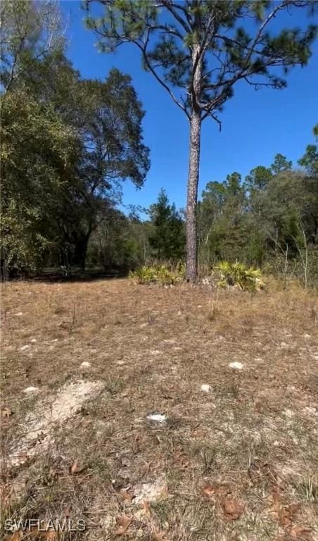 116 Lancaster St, Interlachen, FL 32148