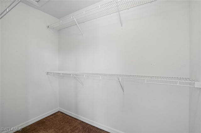 8310 Village Edge Cir Unit 3, Fort Myers, FL 33919 - walk in closet with dark carpet